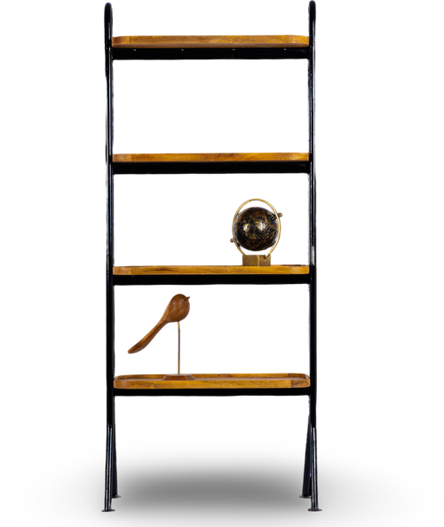 Industrial Ladder Shelf